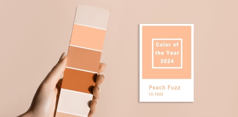 Embrace Pantone Color of the Year 2024 - Peach Fuzz